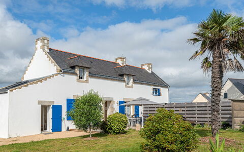 Les Palmiers: Sky, Himmel, Plante, Bygning, Ejendom, Vindue, Træ, Hus, Land Lot, Vegetationen