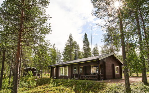 Jormakka: Træ, Sommerhus, Bjælkehytte, Skov, Skur, Garden Bygninger, Lærk, Woodland, Bejdse