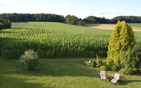 Am Rotenberg: Himmel, Plante, Sky, Ejendom, Træ, Naturlige Landskab, Natur, Land Lot, Hæk, Landbrug