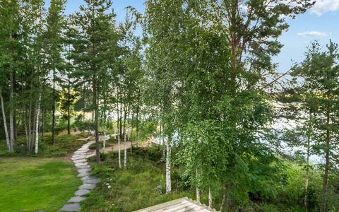Torniniemi: Blad, Træ, Grøn, Vegetationen, Busk, Plantesamfund, Bagagerum, Forår, Vedplante, Have