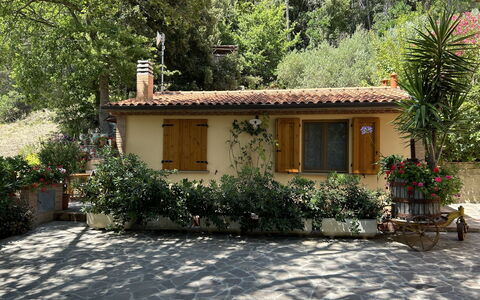 Home Relax: Plante, Bygning, Vindue, Hus, Træ, Sommerhus, Skygge, Blomsterkrukke, Ejendom, Facade