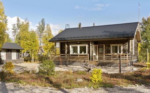 Lapinvouti: Træ, Sommerhus, Bjælkehytte, Skov, Skur, Garden Bygninger, Lærk, Woodland, Bejdse