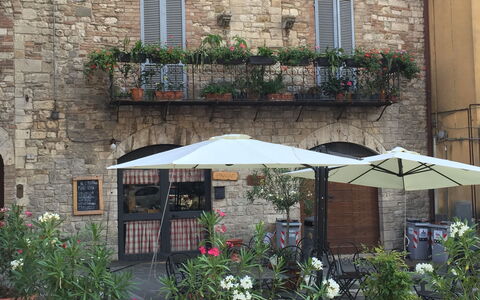 La Terrazza Di Todi: Plante, Vindue, Ejendom, Blomst, Blomsterkrukke, Stueplante, Bygning, Belysning, Vejbelægning, Paraply