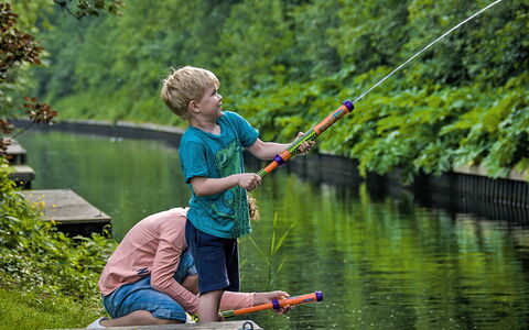 Bungalowpark It Wiid: Vand, Plante, Sø, Fritid
