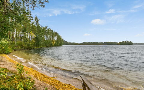 Aurinkoranta: Græs, Hus, Sommerhus, Land Lot, Hjem, Estate, Lawn, Sidespor, Stuehus, Veranda