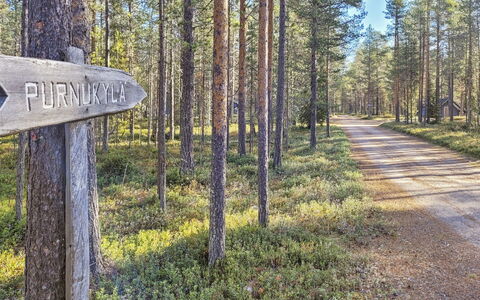 Purnukka: Træ, Gulvbelægning, Etage, Møbel, Trægulve, Indretning, Køjeseng, Værelse, Bejdse, Hårdttræ
