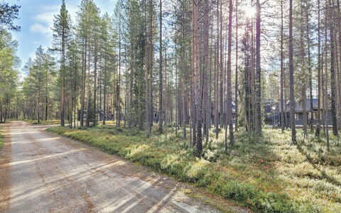 Purnukka: Træ, Gulvbelægning, Etage, Møbel, Trægulve, Indretning, Køjeseng, Værelse, Bejdse, Hårdttræ