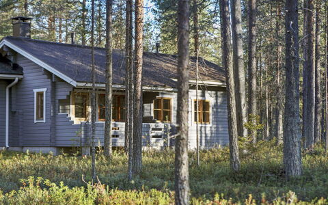 Purnukka: Træ, Gulvbelægning, Etage, Møbel, Trægulve, Indretning, Køjeseng, Værelse, Bejdse, Hårdttræ