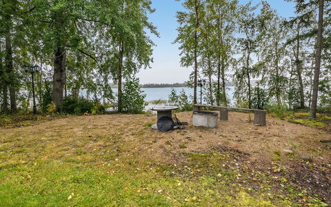 Tyssinniemi: Græs, Hus, Sommerhus, Land Lot, Hjem, Estate, Lawn, Sidespor, Stuehus, Veranda