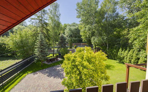 Jókai: Træ, Busk, Have, Skygge, Landscaping, Gård, Hårdttræ, Bejdse, Lawn, Backyard