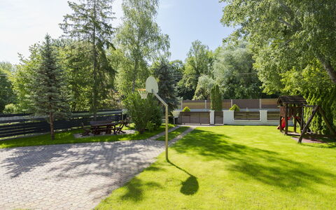 Jókai: Have, Skygge, Lawn, Landscaping, Parkere, Gård, Backyard, Kunstgræs, Hegn, Walkway