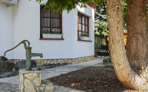 Tamas: Rots, Sommerhus, Have, Stenmur, Gård, Landscaping, Cobblestone, Backyard, Walkway