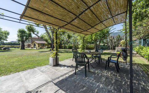 Villa Chio: Plante, Ejendom, Bord, Skygge, Træ, Udendørs Møbler, Græs, Offentlige Rum, Stol, Udendørs Bord