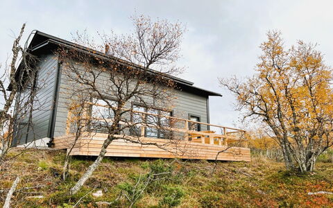 Villa Viima: Træ, Hus, Hjem, Sommerhus, Land Lot, Sidespor, Landdistrikt, Hårdttræ, Planke, Bjælkehytte