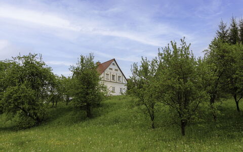 Frilo: Vand, Plante, Bygning, Daytime, Ejendom, Himmel, Svømmepøl, Azure, Træ, Krop Af Vand