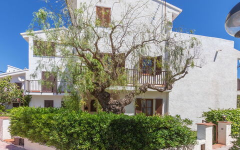 Blanca Mediterranea: Bygning, Væg, Vindue, Boligområde, Hus, Facade, Kvarter, Hjem, Busk, Menneskelig Bosættelse