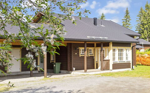 Tahkontupa: Tag, Hus, Sommerhus, Hjem, Boligområde, Land Lot, Sidespor, Skygge, Veranda, Estate