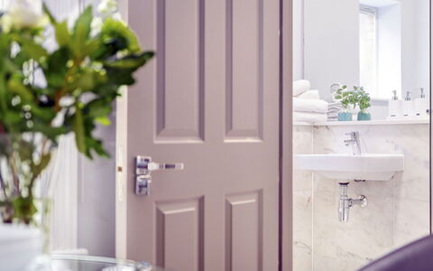 Cleveland Apartments: Plante, Spejl, Tap, Håndvask, Dør, Bygning, Sanitærarmatur, Purple, Træ