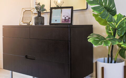 Sir Jl: Plante, Ejendom, Hvid, Blomsterkrukke, Stueplante, Lys, Cabinetry, Belysning, Indretning, Træ