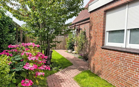 Norddeich 183: Blomst, Plante, Bygning, Vindue, Træ, Græs, Hus, Murværk, Kronblad, Mursten