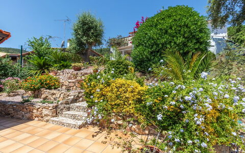 El Suro: Blomst, Busk, Have, Blomstrende Plante, Landscaping, Botanisk Have, Gård