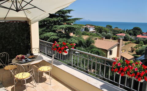 La Terrazza di Dinky: Plante, Bygning, Blomst, Himmel, Ejendom, Blomsterkrukke, Bord, Paraply, Træ, Udendørs Møbler