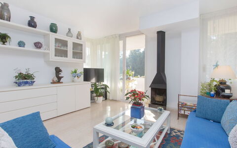 Cala Bona: Plante, Møbel, Ejendom, Couch, Blå, Stueplante, Azure, Bord, Indretning, Blomsterkrukke