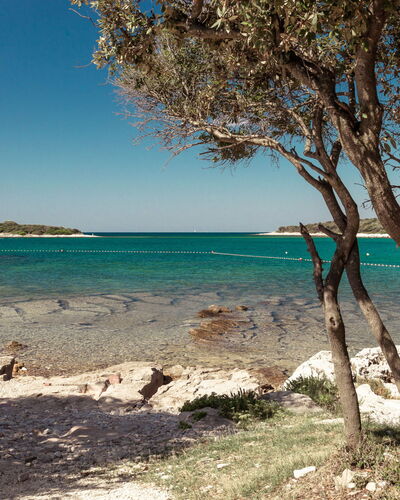Luxury Beachside Villa Porto Bus 311.2