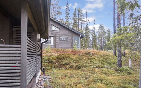 Rukan Pramea: Sommerhus, Sidespor, Lærk, Sti, Pine Family