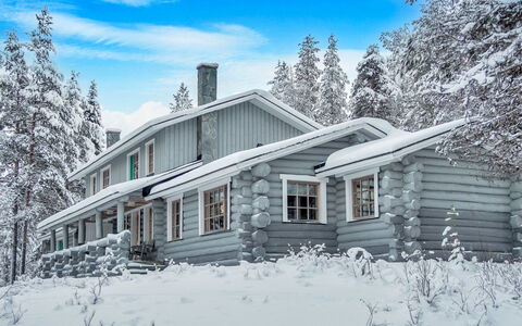 Koivu: Træ, Bank, Hus, Sommerhus, Sø, Dam, Skov, Bjælkehytte