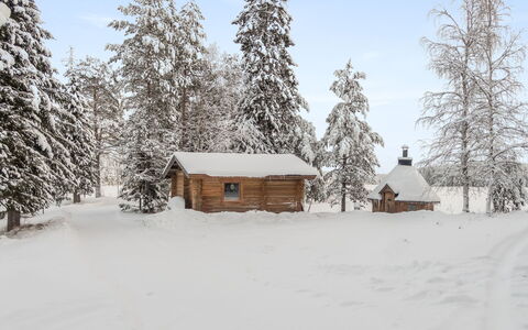 Mänty: Sne, Vinter, Træ, Afdeling, Træ, Hus, Sommerhus, Tag, Landskab, Hjem
