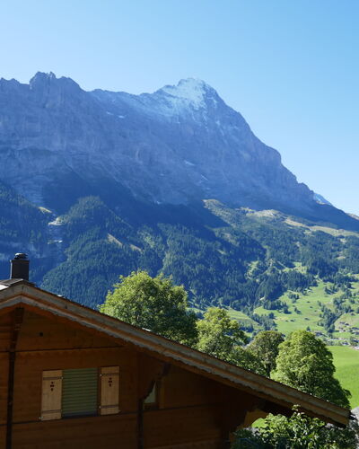 Chalet Snowflake