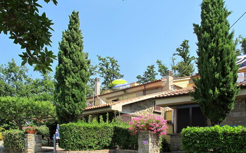 Vinci 962: Plante, Himmel, Bygning, Ejendom, Blomst, Blad, Træ, Vegetationen, Vindue, Kvarter