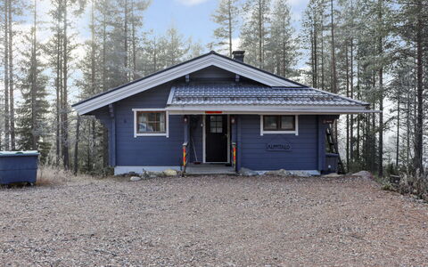 Alppitalo Mökki: Træ, Sommerhus, Bjælkehytte, Skov, Skur, Garden Bygninger, Lærk, Woodland, Bejdse