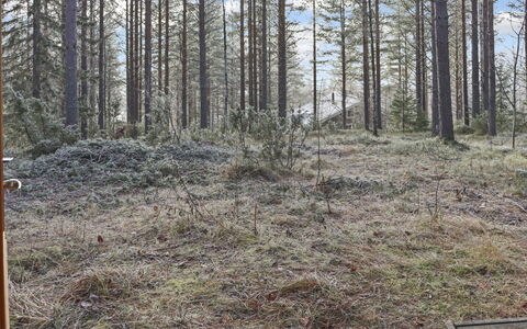 Alppitalo Mökki: Træ, Sommerhus, Bjælkehytte, Skov, Skur, Garden Bygninger, Lærk, Woodland, Bejdse