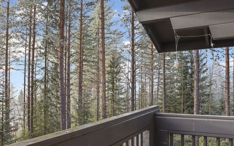 Alppitalo Mökki: Træ, Sommerhus, Bjælkehytte, Skov, Skur, Garden Bygninger, Lærk, Woodland, Bejdse