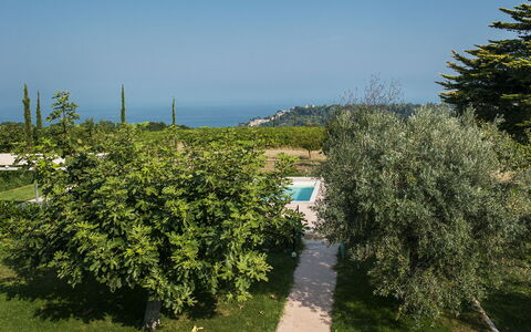 Villa Degli Aranci: Himmel, Plante, Plantesamfund, Naturlige Landskab, Vegetationen, Land Lot, Græs, Biome, Busk, Landbrug