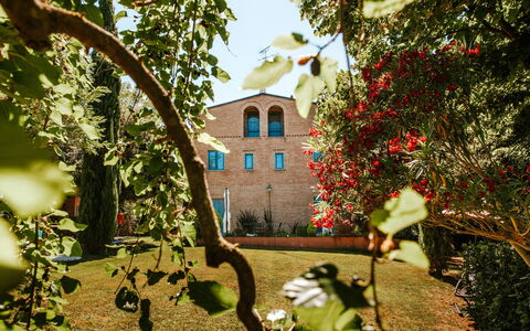 Villa Millefiori: Plante, Bygning, Blomst, Vindue, Blad, Botanik, Afdeling, Arkitektur, Vegetationen, Hus