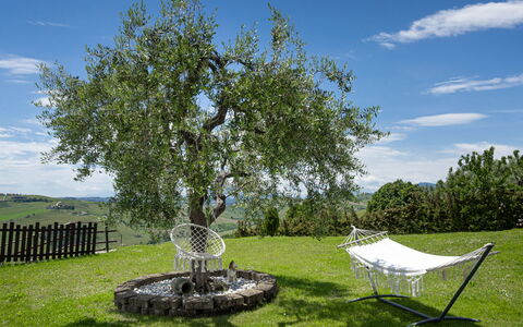 La Casa Di Campagna: Græs, Afdeling, Græs-, Almindeligt, Have, Bagagerum, Lawn, Kvist, Vedplante, Eng