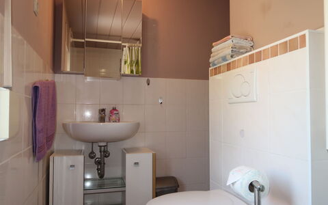 Leon: Tap, Sanitærarmatur, Badeværelsesvask, Ejendom, Håndvask, Toilet, Toiletbræt, Bygning, Badeværelse, Purple