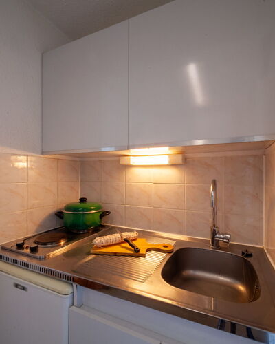 Pegase Phenix 310.1