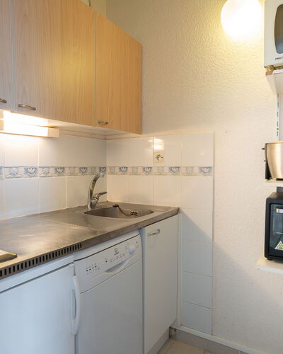 Pegase Phenix 310.21