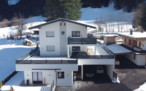 Haus Goldmann