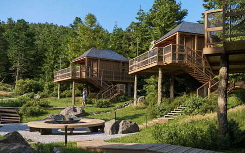 Premium Baumhaus mit 1 Schlafzimmer: Plante, Himmel, Vindue, Bygning, Træ, Naturlige Landskab, Sommerhus, Hus, Træ, Land Lot