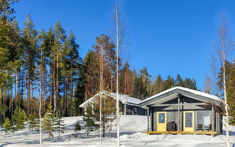 Paloranta: Træ, Træ, Afdeling, Hus, Sommerhus, Tag, Hjem, Vinter, Sne, Fryser