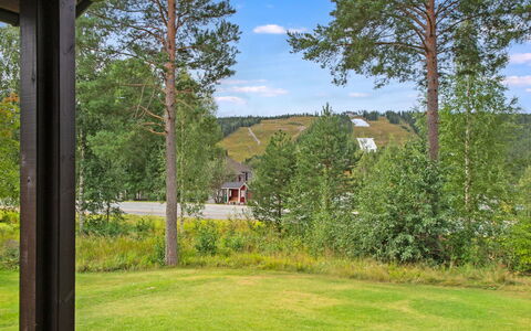 Tahkon Klubitie 4 a: Græs, Busk, Land Lot, Have, Bunddække, Forår, Landscaping, Lawn, Eng, Skygge