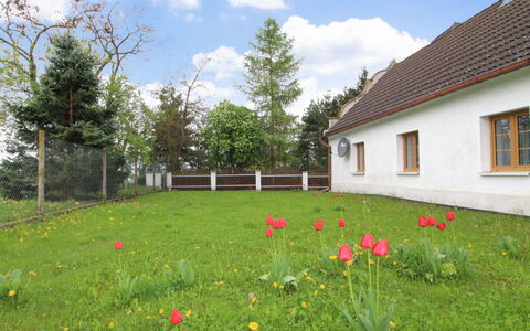 Vlhlavy U Hluboké: Blomst, Sky, Himmel, Plante, Ejendom, Vindue, Bygning, Træ, Botanik, Naturlige Landskab