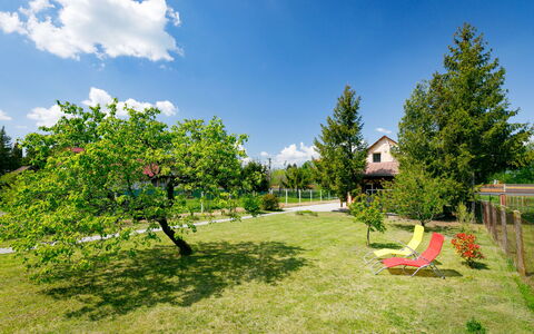 Pear Trees: Himmel, Plante, Bygning, Daytime, Ejendom, Træ, Urban Design, Kvarter, Boligområde, Vedplante