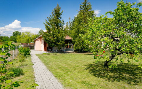 Pear Trees: Himmel, Plante, Bygning, Daytime, Ejendom, Træ, Urban Design, Kvarter, Boligområde, Vedplante