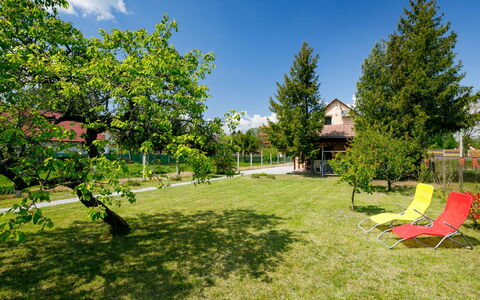 Pear Trees: Himmel, Plante, Bygning, Daytime, Ejendom, Træ, Urban Design, Kvarter, Boligområde, Vedplante
